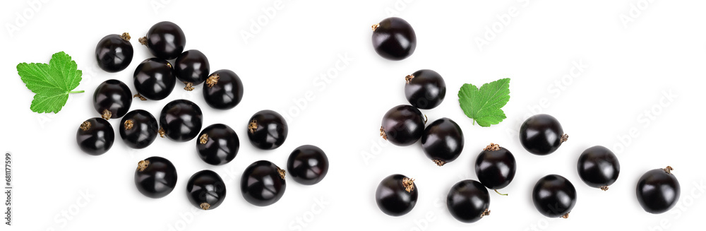 black currant with leaves isolated on white background . Top view. Flat lay pattern black currant with leaves isolated on white background . Top view. Flat lay pattern
