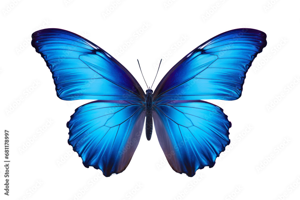 Naklejka premium Beautiful color butterfly isolated on a transparent background