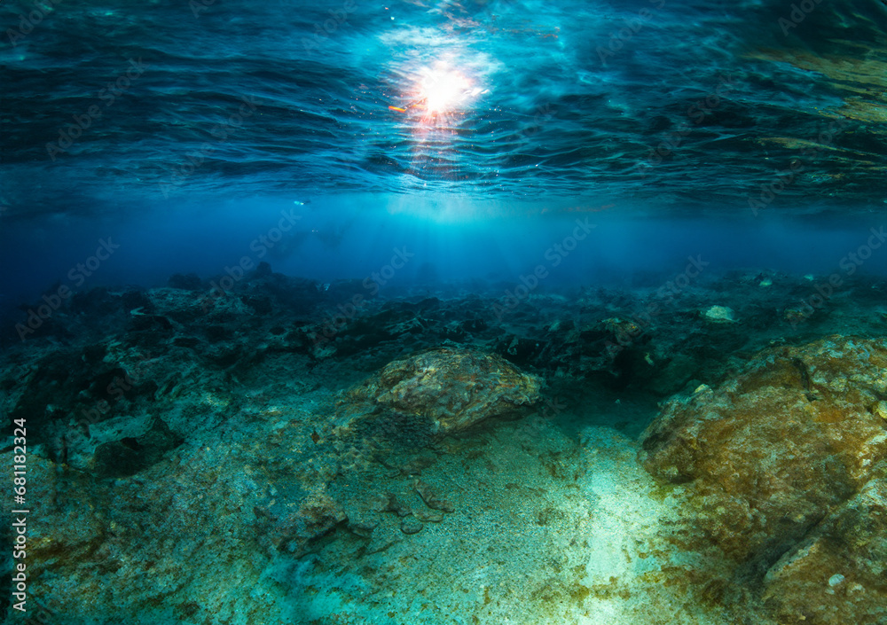 underwater scene with reef