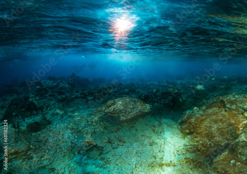 underwater scene with reef © RODRIGOLUIZ