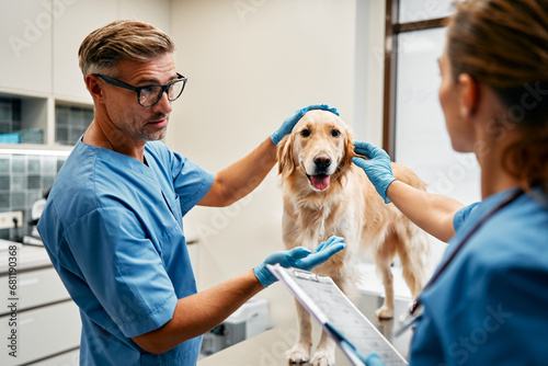 Animals for examination and treatment in the veterinary clinic