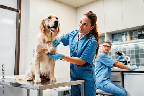 Wallpaper Mural Animals for examination and treatment in the veterinary clinic Torontodigital.ca