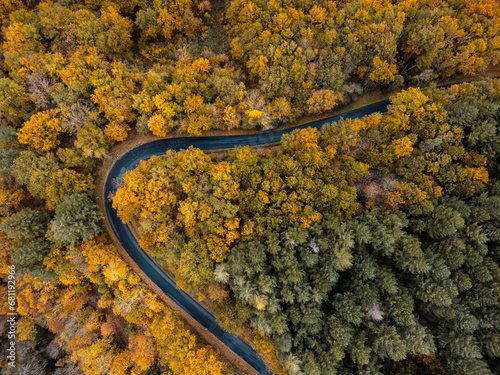 Wald Landschaft von oben im Herbst in Aveyron Frankreich