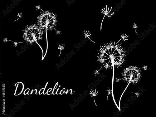 Abstract background dandelion design for decoration design.