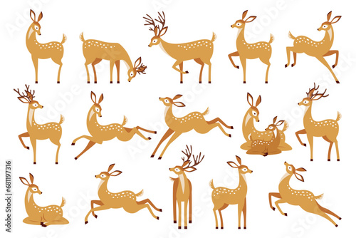 Cartoon deer wild animal forest fauna standing, jumping and grazing set isolated on white background