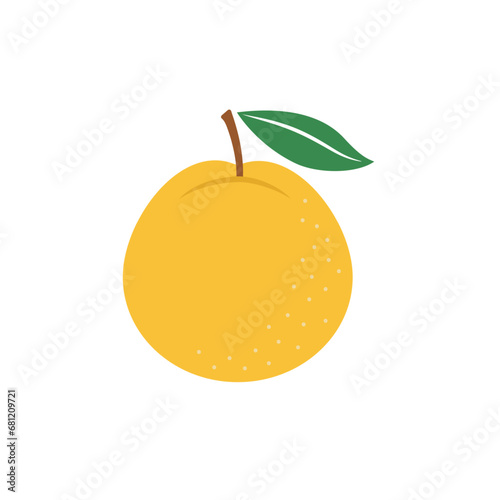 Asian pear whole single fruit with a leaf. Vector flat illustration isolated on white background.