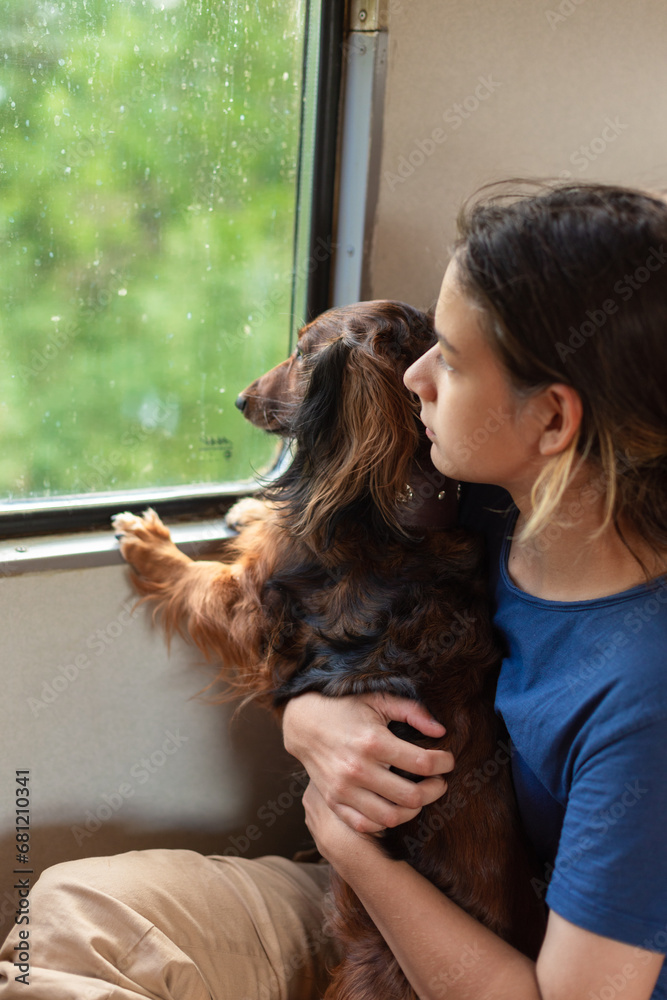 Travelling with pet. A young woman with a dog travels in a railway carriage, a dachshund and his owner look out the train window Travelling with pet. A young woman with a dog travels in a railway carriage, a dachshund and his owner look out the train window