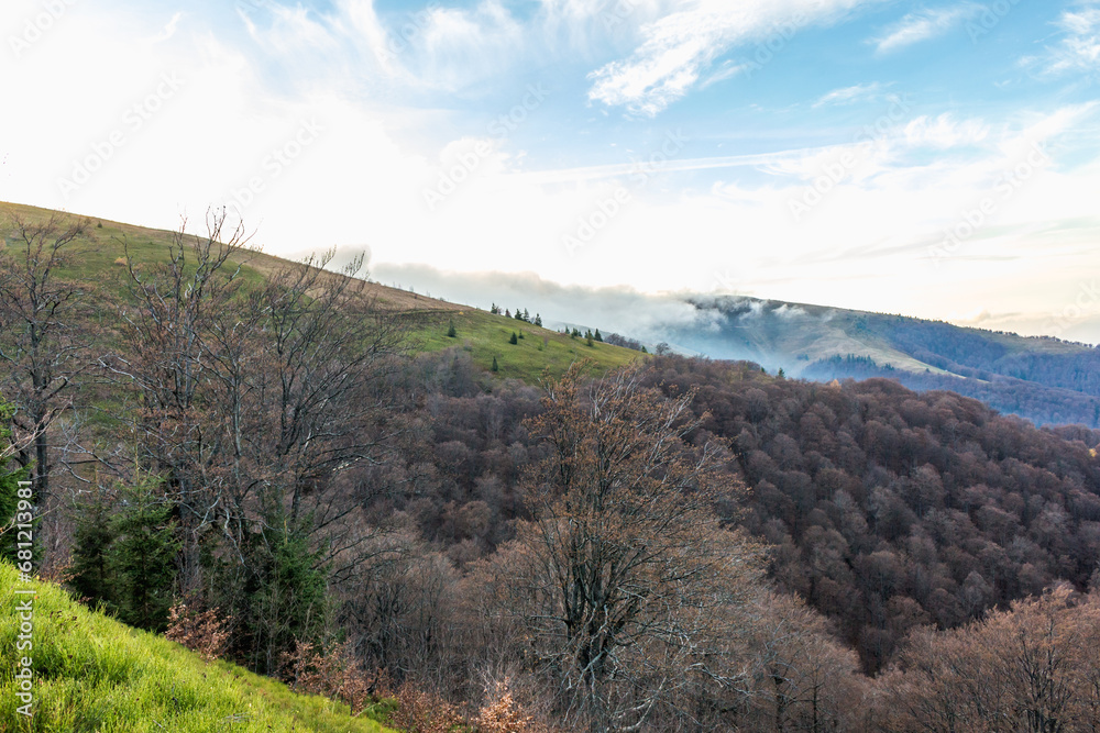 Fototapeta premium autumn landscape in the Carpathians