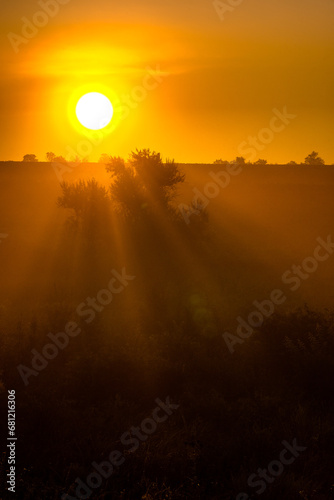 Golden sun rising . Summer morning . Landscape with sun and fog . Golden and red sun rise over the forest . Forest misty . 