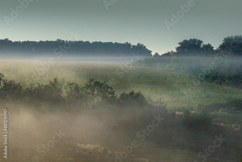 Misty morning at summer with fog . Fog over the trees and forest . Daylight. Sunrise over the field. Sunny and foggy morning . 
