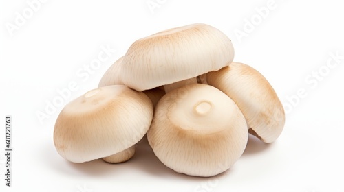 porcini mushrooms on a white background.