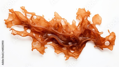 brown algae on a white background isolated. photo