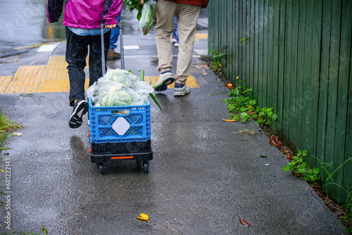 Woman pulling a shopping basket on wheels, walking in the rain. People finished vegetable shopping in the market. photo