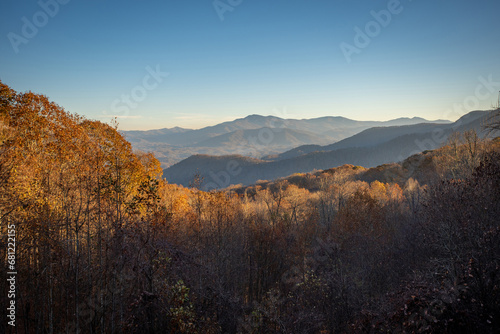 Roan Mountain photo