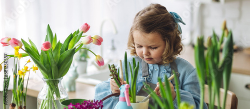 Cute little girl in a pretty blue dress doing home gardening in the kitchen, taking care about flowers and plants. Domestic life, cozy atmosphere, family time, development, hobby, leisure. Banner