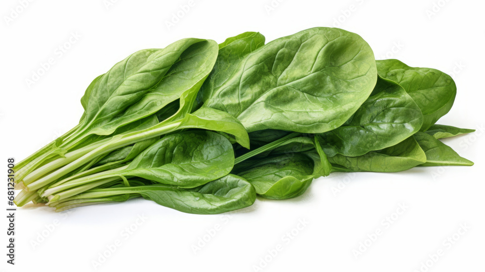 fresh spinach leaves White background fresh spinach leaves White background