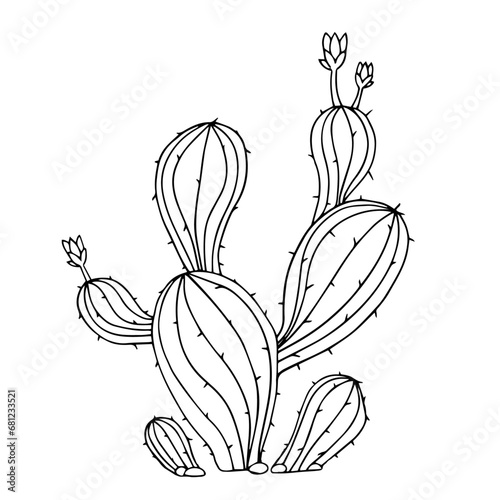 Sketch, doodle of a blooming cactus, succulent. Vector graphics.