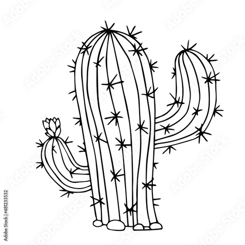 Sketch, doodle of a blooming cactus, succulent. Vector graphics.
