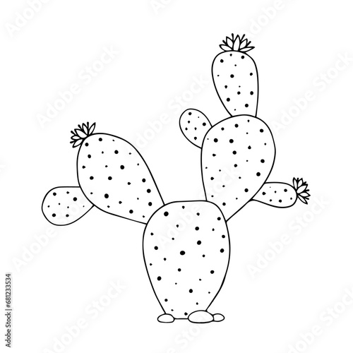 Sketch, doodle of a blooming cactus, succulent. Vector graphics.