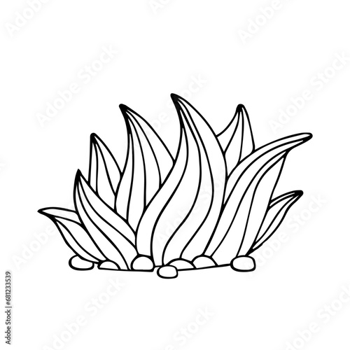 Sketch, doodle of a blooming cactus, succulent. Vector graphics.