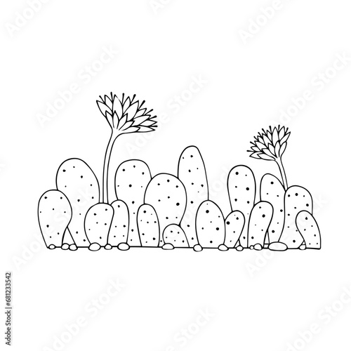Sketch, doodle of a blooming cactus, succulent. Vector graphics.