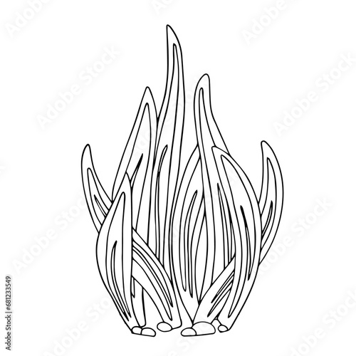 Sketch, doodle of a blooming cactus, succulent. Vector graphics.