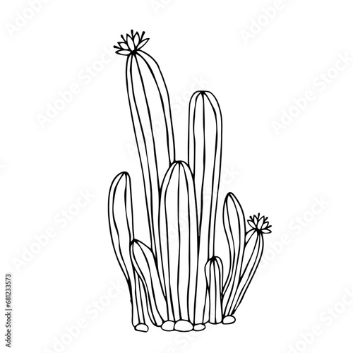Sketch, doodle of a blooming cactus, succulent. Vector graphics.
