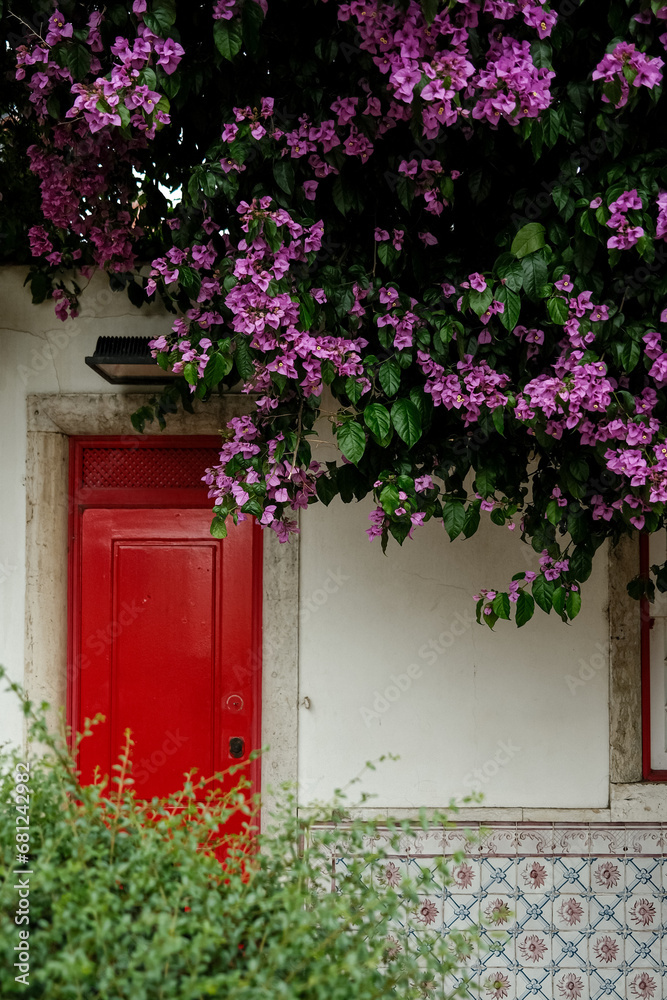 red door and flowers