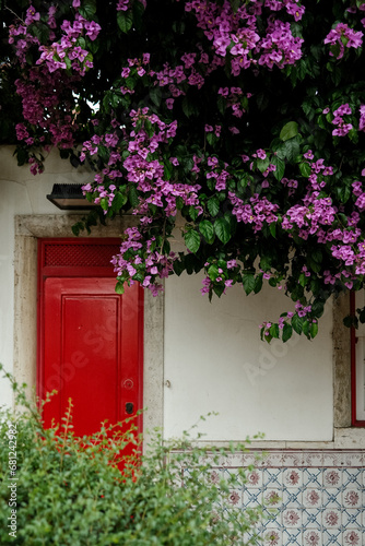 red door and flowers