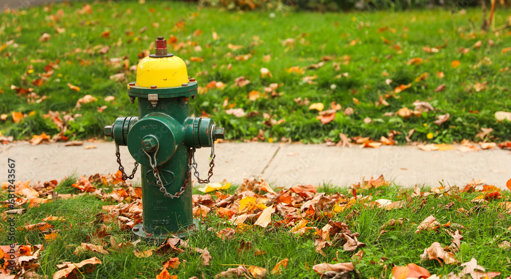 fire hydrant stands on a serene street, symbolizing safety and preparedness in the neighborhood fire hydrant stands on a serene street, symbolizing safety and preparedness in the neighborhood
