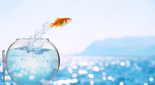 Goldfish leaps out of the aquarium to throw itself into the sea photo