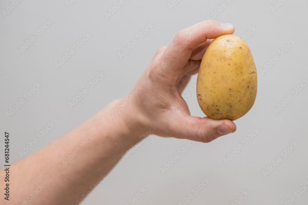 Potato Lover: Caucasian man Holding a Melody Potato Potato Lover: Caucasian man Holding a Melody Potato