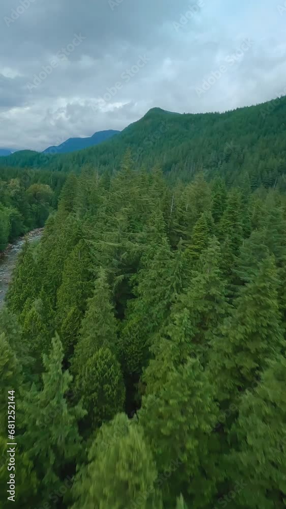 Flight over a mountain river. Shot on FPV drone. British Columbia, Canada.