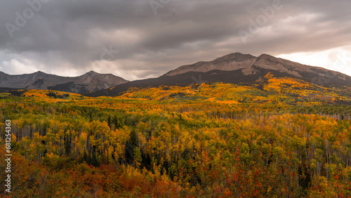 Kebler Pass Mountain Forests Colorado Autumn Fall Foliage Yellow Aspen Trees with Sunset Light.