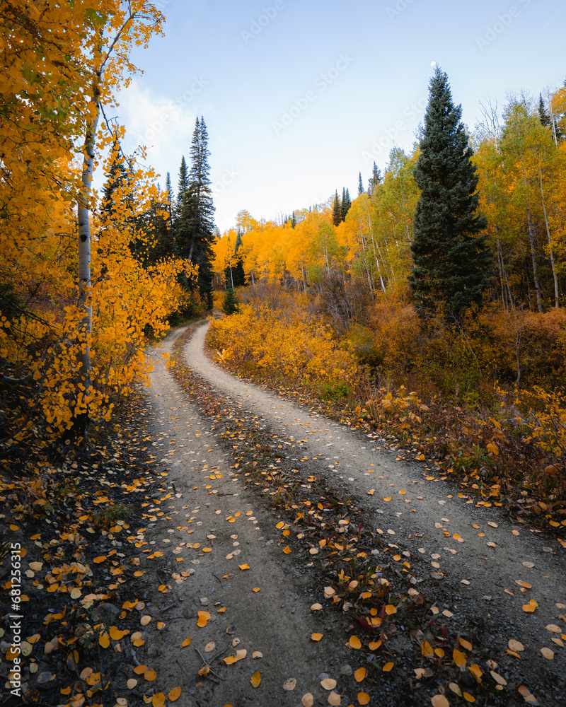 Scenic fall landscape forest rural dirt road. Magical Colorado retreat leaves along trail.
