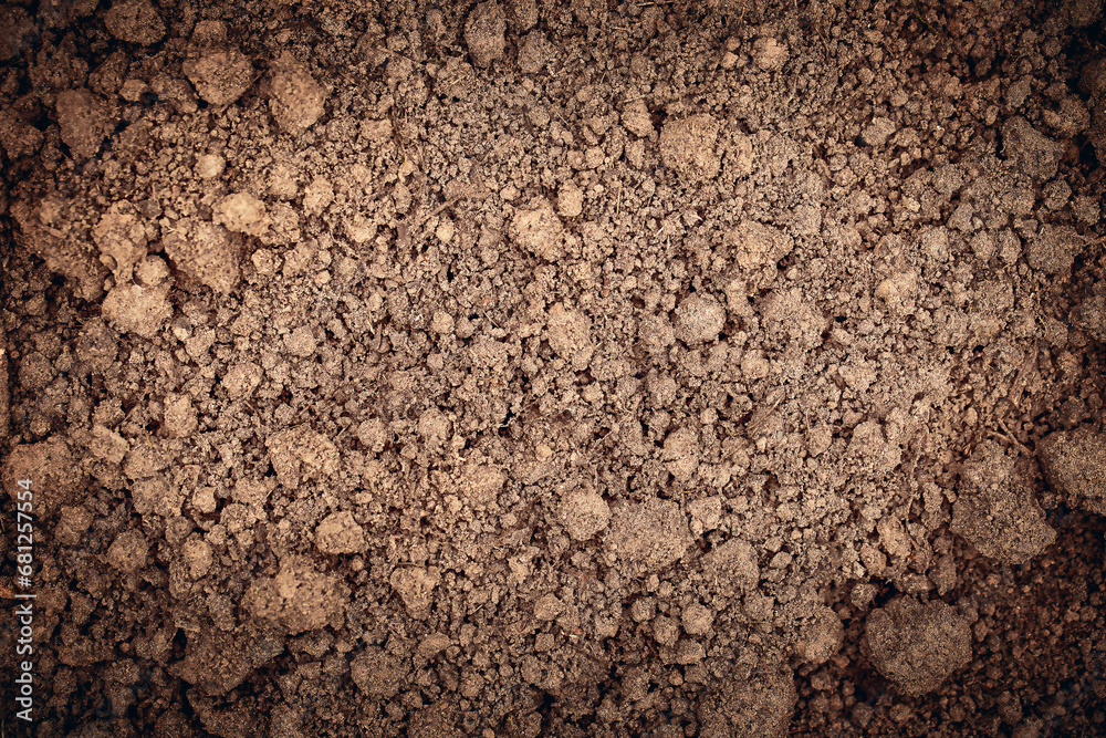 photo of the soil view from the top photo of the soil view from the top