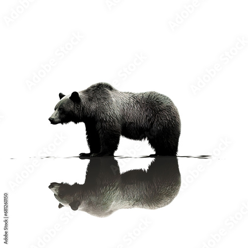 bear animal on a white background © shobakhul