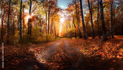 Autumn forest road in november leaves fall ground landscape on autumn background