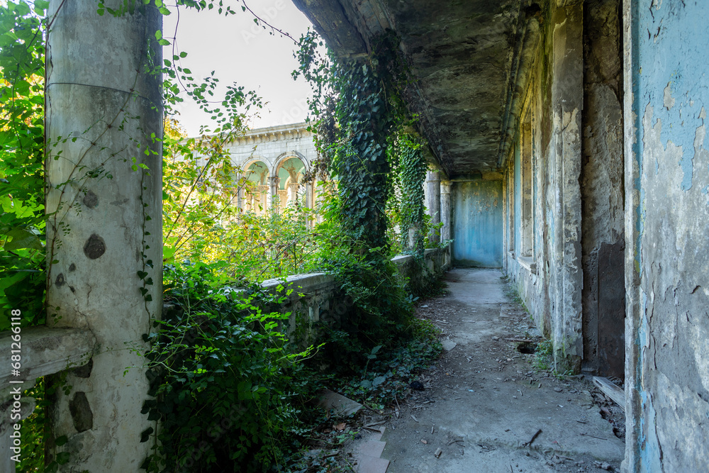a terrace overgrown with plants with a balustrade in an abandoned building, a former sanatorium - obrazy, fototapety, plakaty 