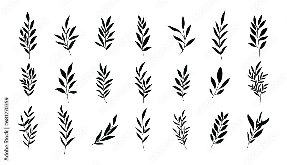 Set of silhouettes of branches and leaves. Hand drawn vector botanical elements Set of silhouettes of branches and leaves. Hand drawn vector botanical elements