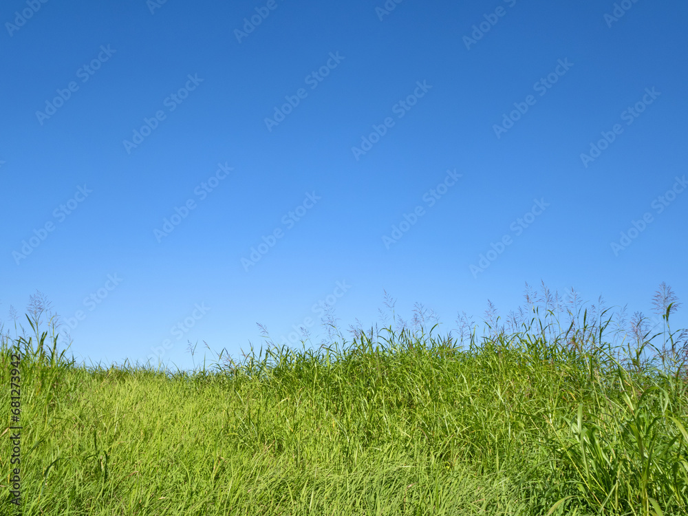 初夏の青空と草原