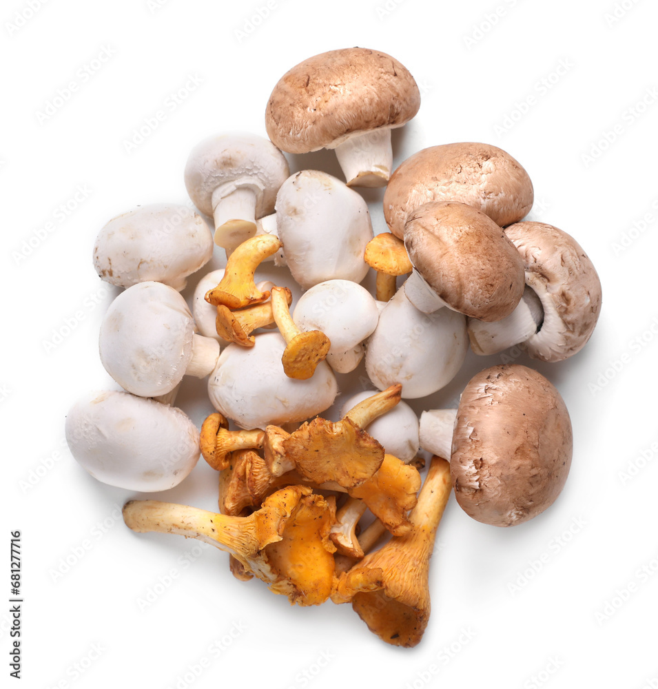 Different mushrooms isolated on white, top view Different mushrooms isolated on white, top view