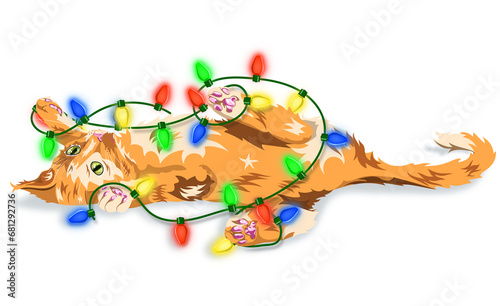 Kitten playing with holiday lights
