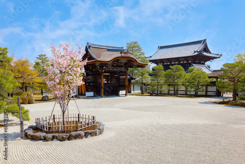 Ninnaji is one of Kyoto's great temples listed as World Heritage Sites famous for Omuro Cherries, late blooming cherry trees. photo