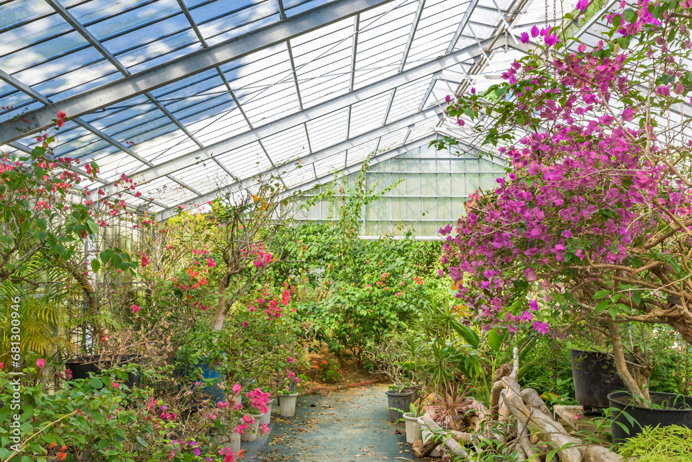 Bright greenhouse image for background