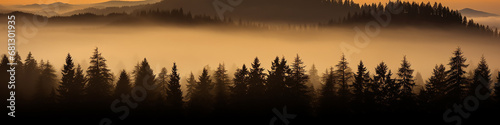 long panorama silhouettes of  the autumn fog at sunset  freedom and silence of nature wild forest in sunset colors