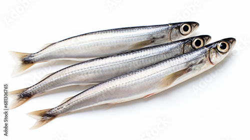 anchovy isolated on the background, fresh fish