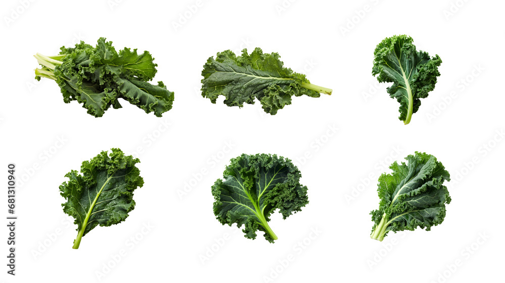 Collection of PNG. Kale isolated on a transparent background. - obrazy, fototapety, plakaty 