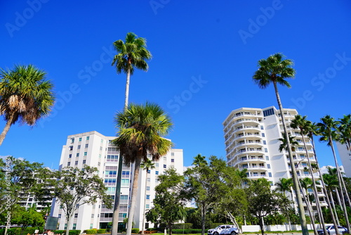 Sarasota bay harbor and bay landscape 