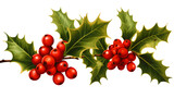 Holly Berries with Leaves isolated on transparent background